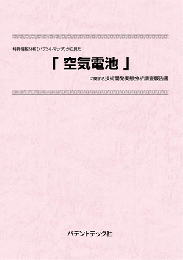 空気電池　技術開発実態分析調査報告書