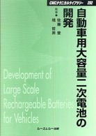 自動車用大容量二次電池の開発