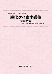 炭化ケイ素半導体〔2023年版〕　技術開発実態分析調査報告書
